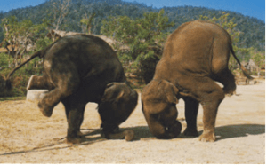 Screen Shot 2014-11-14 at 3.23.27 AM